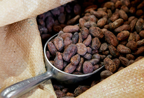 CACAO to CHOCOLATE